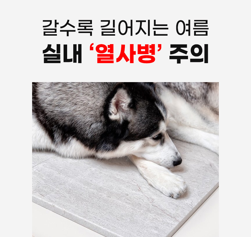 [무료배송] 코코시루 사계절 펫침대 강아지 고양이 냉난방매트 C1CN 9번째