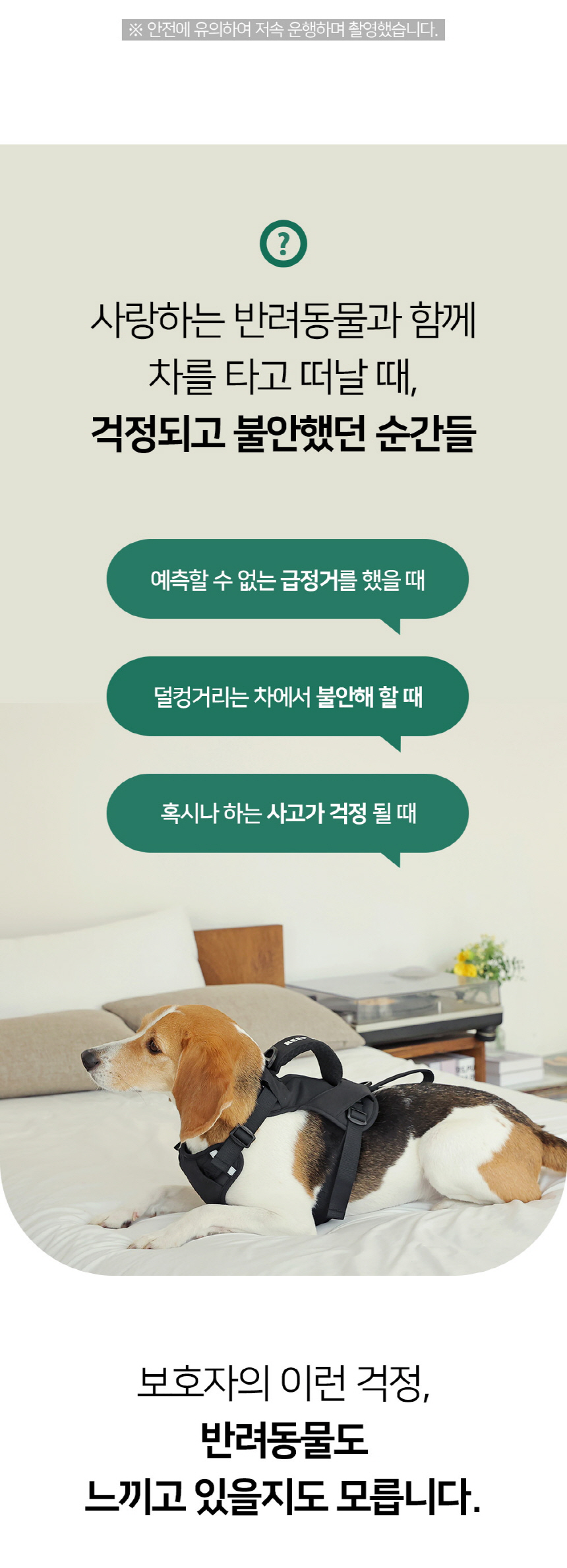 [NEW신상][무료배송] 펫더팬 리브 반려동물 차량용 안전벨트 하네스 세트 (S/M) 8번째