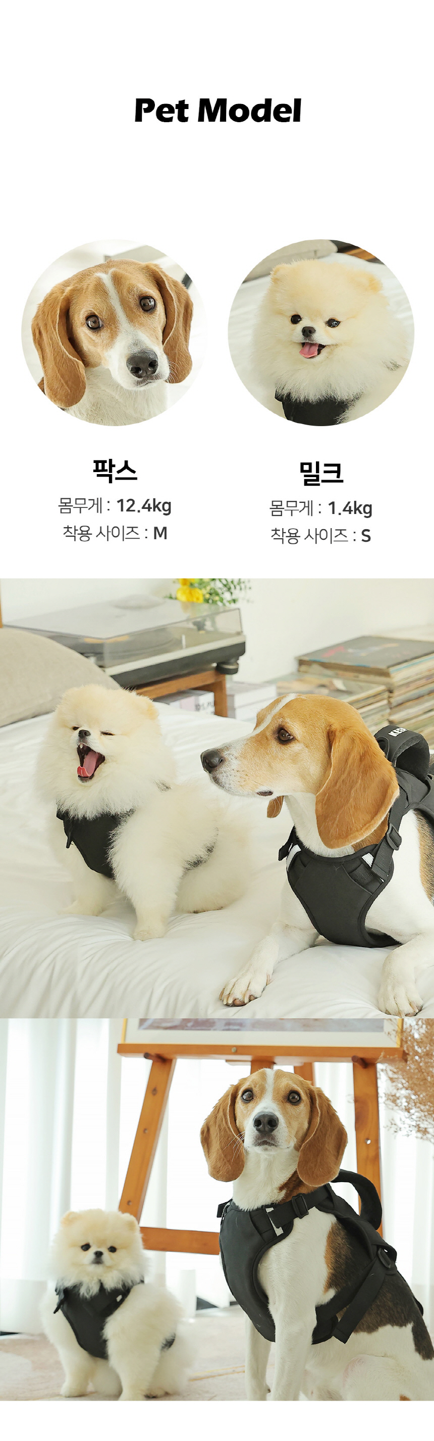 [NEW신상][무료배송] 펫더팬 리브 반려동물 차량용 안전벨트 하네스 세트 (S/M) 24번째