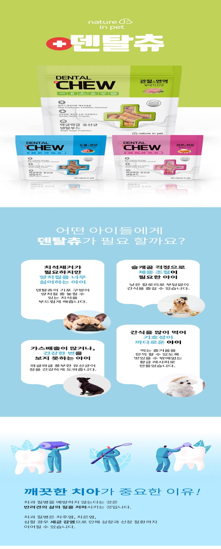 [NEW신상][무료배송] [3개] 네이처인펫 황태덴탈츄 치킨 230g 1번째 상세 이미지