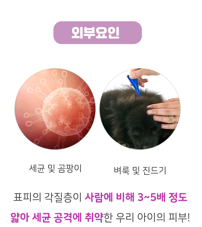 [무료배송] 댕이수랏간 침향 피부&피모 70g 10번째