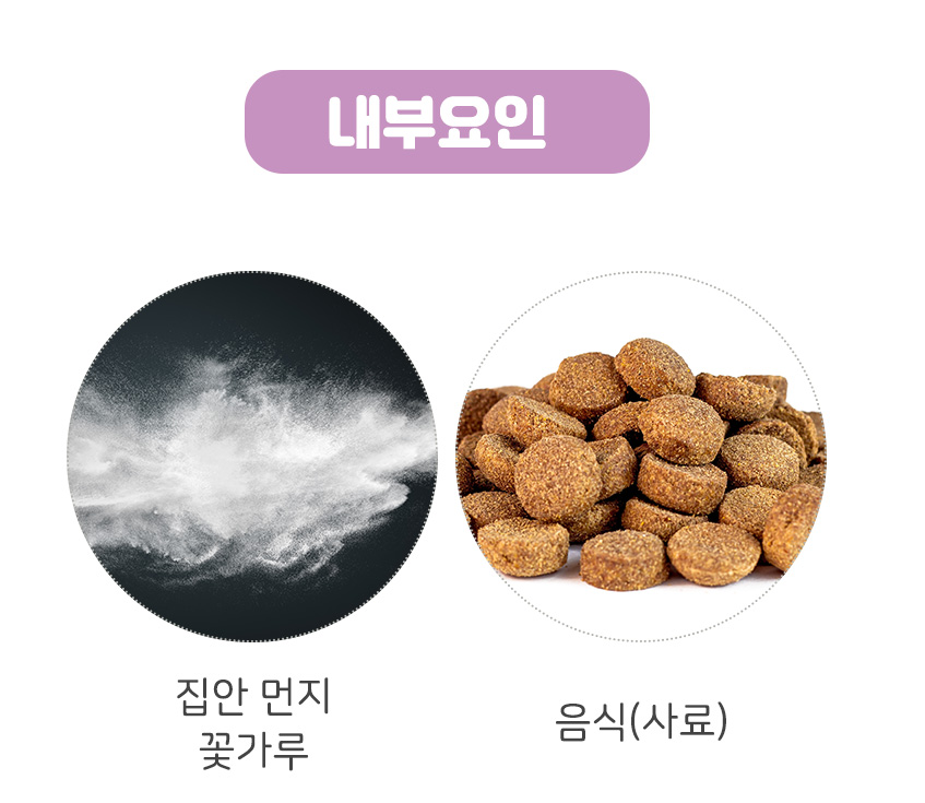 [무료배송] 댕이수랏간 침향 피부&피모 70g 9번째