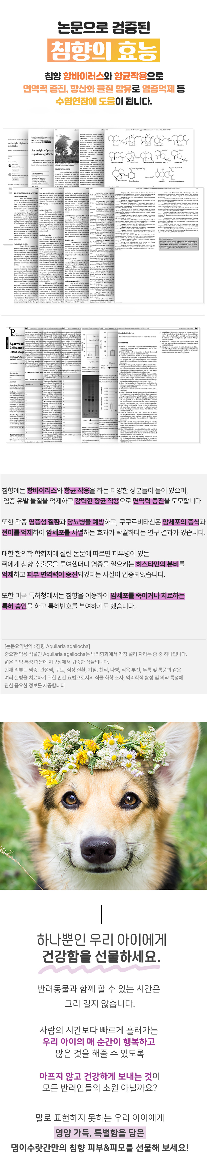[무료배송] 댕이수랏간 침향 피부&피모 70g 21번째