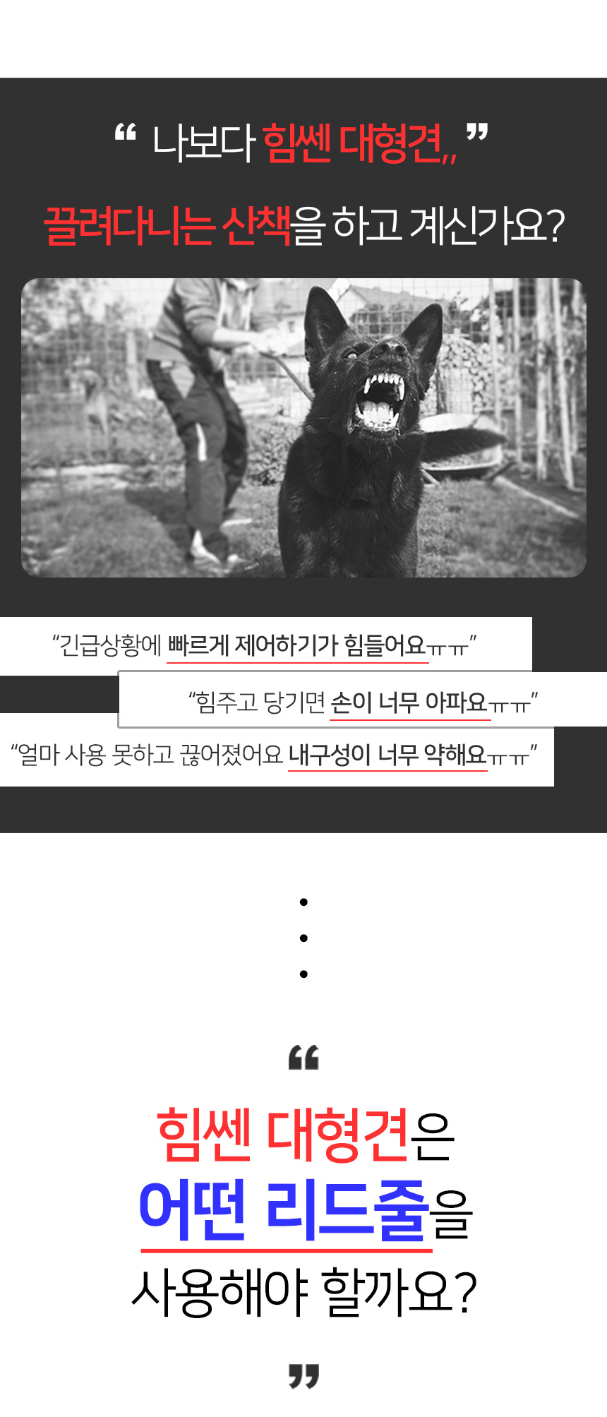 [무료배송] 멍템 로프 리드줄 레드/블랙  4번째