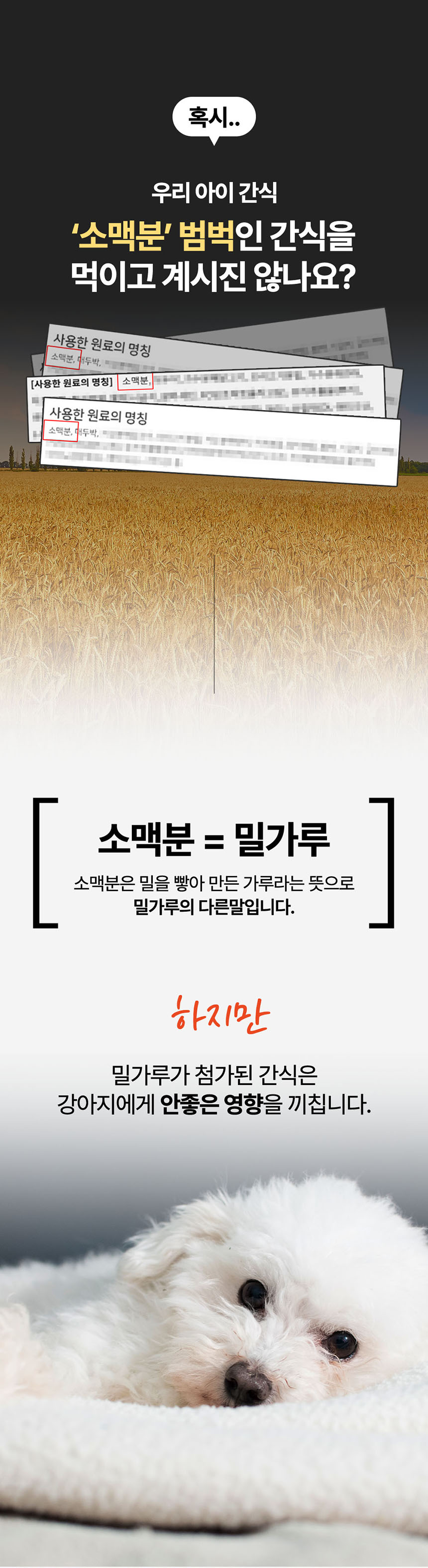 [무료배송] 리스펫 독 노즈워크 대용량 간식 붕어킁킁 1번째