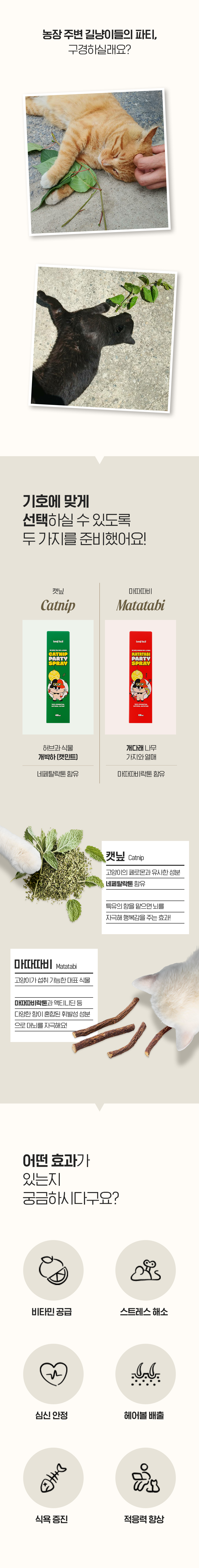 [무료배송] 웨그테일 고양이 마따따비 파티 스프레이 국내산 무농약 반려묘 심신안정 스트레스 해소 5번째