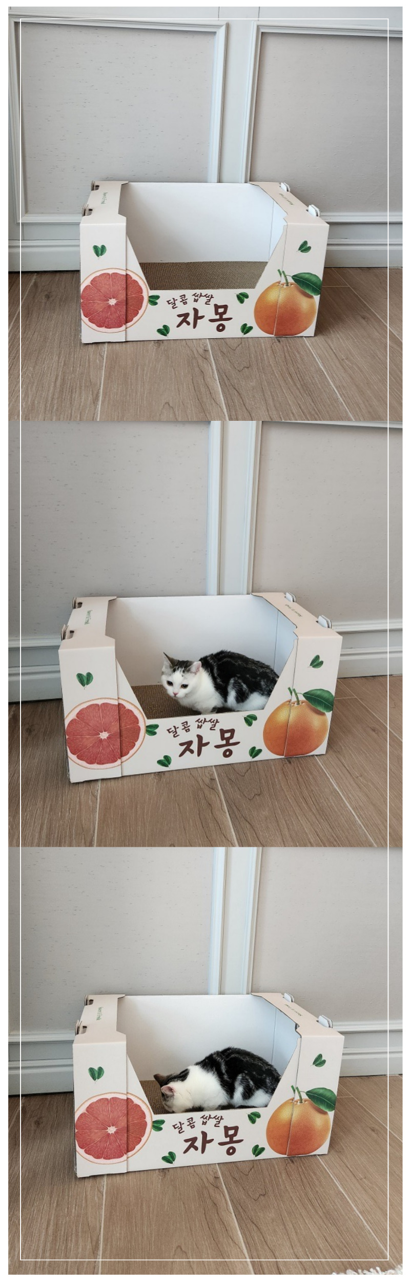 [무료배송] 가또나인 캣 자몽 박스 스크래쳐 베이지/핑크 8번째