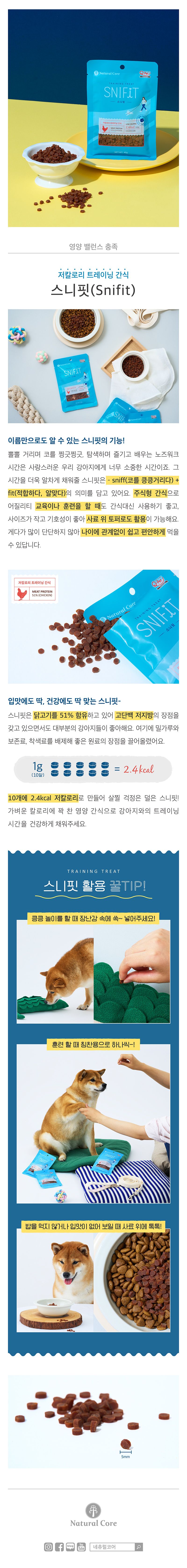 네츄럴코어 독 스니핏 저키 40g 1번째