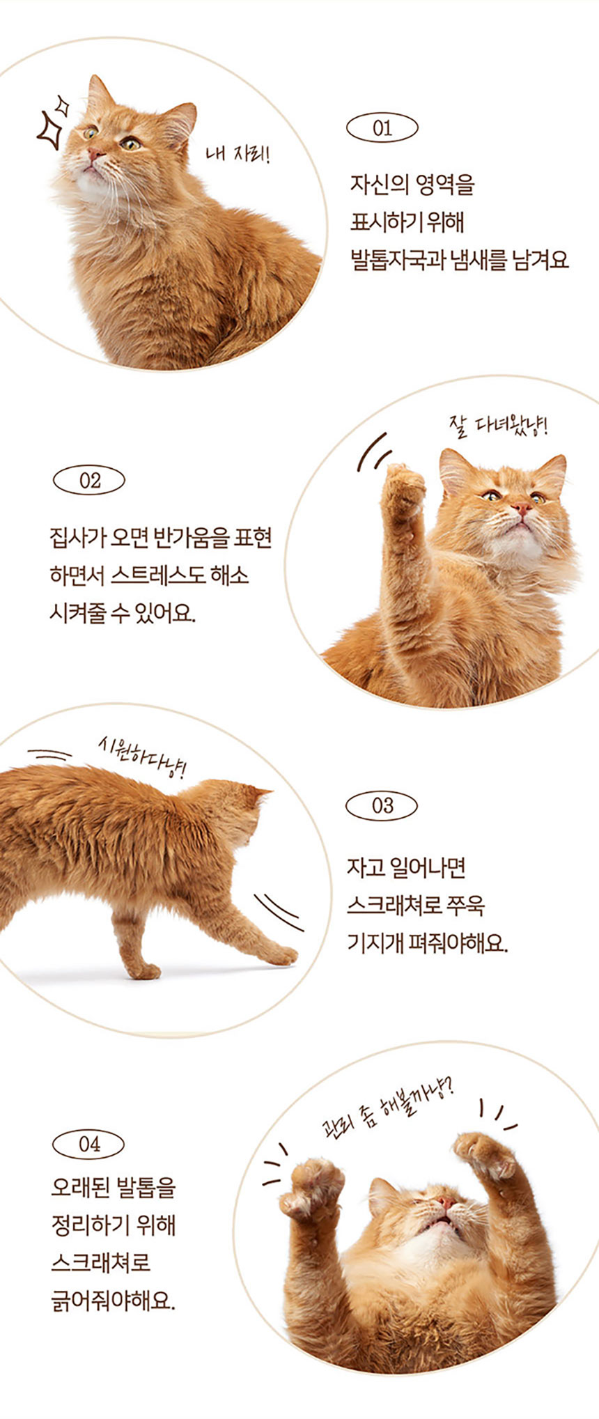 [무료배송] 펫토리아 한발뚝딱 다용도 삼베 매트 고양이 소파 스크래쳐 4번째