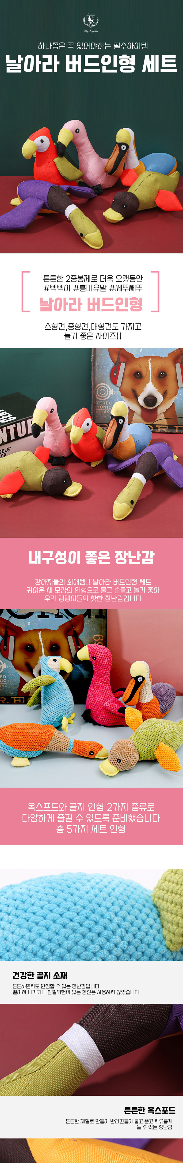 [무료배송] 딩동펫 반려동물 날아라 버드인형 세트 1번째
