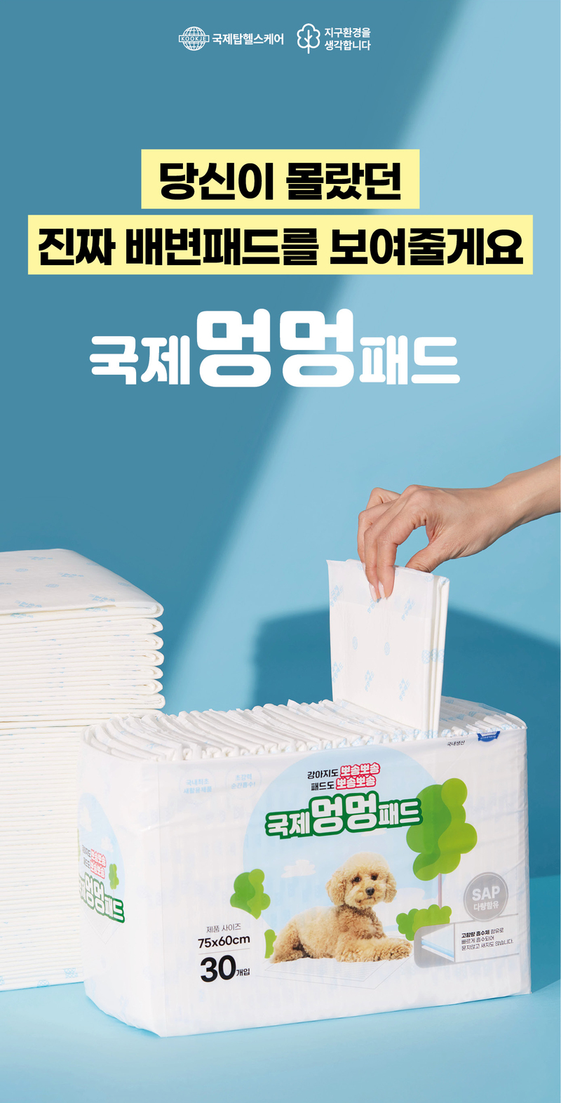 [무료배송] 견우직냥x국제멍멍패드 대형30매(76x60cm) 1번째