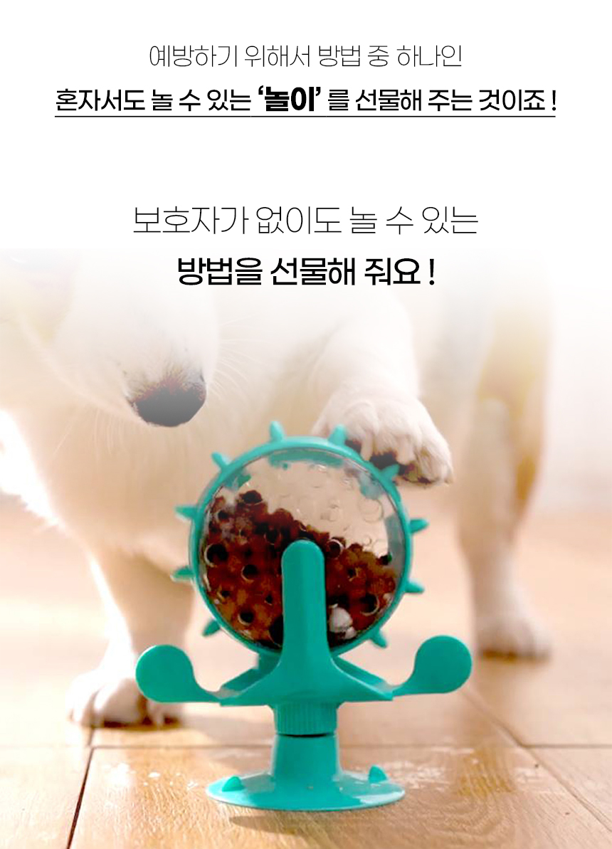 [NEW신상][무료배송] [색상랜덤] 개과천선 디디볼 간식 노즈워크 장난감 2번째