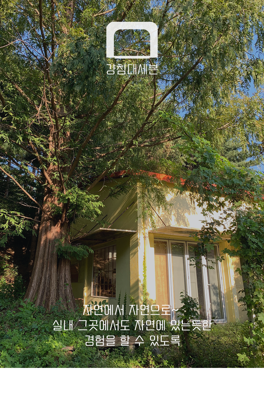 [NEW신상][무료배송] 라뜰리에드보아 걍침대세븐 반려동물 2층 침대 2번째