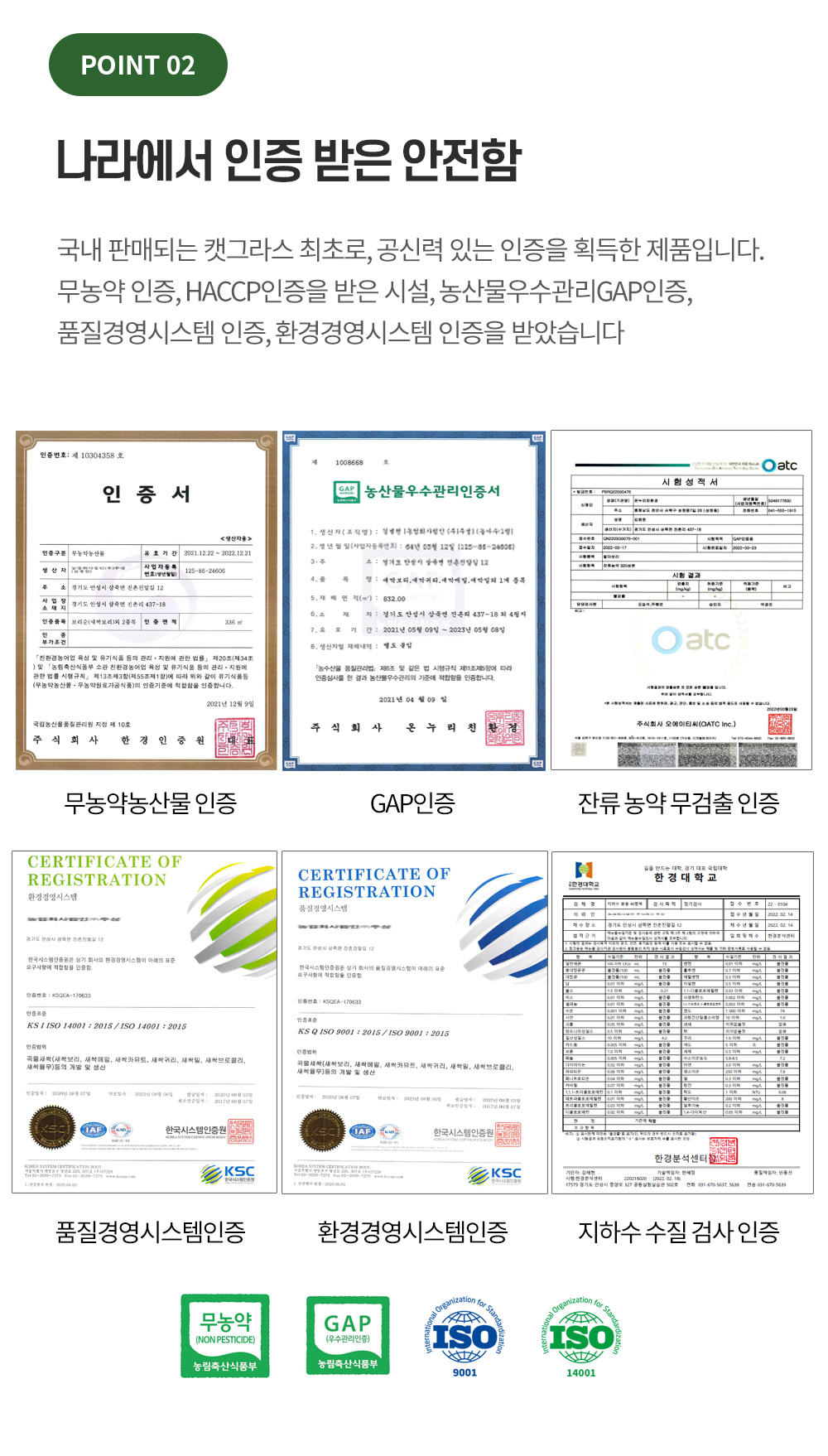 [무료배송] 땡스스탬프 완제품 수경재배 캣그라스 3번째