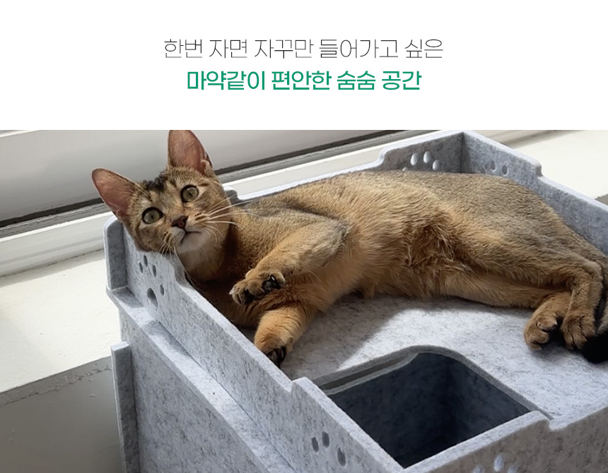 [NEW신상][무료배송] MIAMIA 올라올라 펠트 숨숨 터널 집 캣타워 7번째