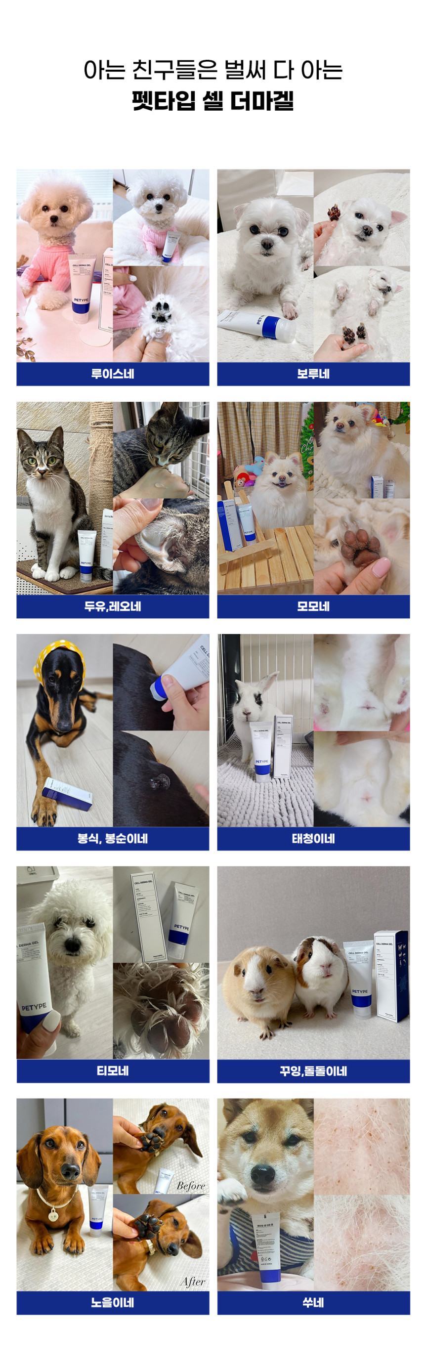 [NEW신상][무료배송] 펫타입 셀더마겔 50ml 30번째