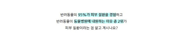 [NEW신상][무료배송] 펫타입 셀더마겔 50ml 10번째