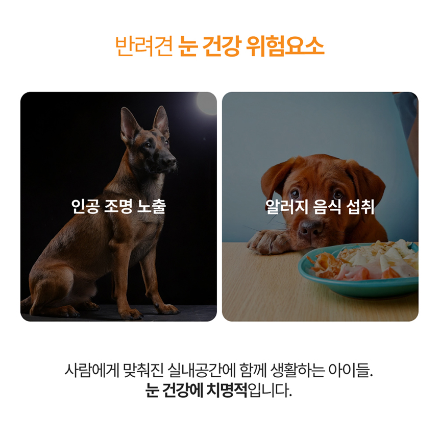 [NEW신상][무료배송] 포바운티 독 아이즈 서포트 어덜트 6세 이하 100g 17번째