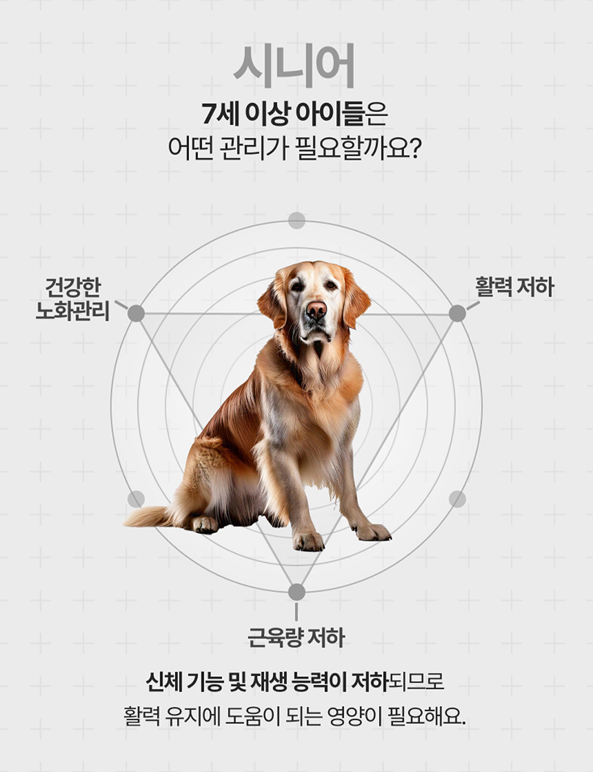[NEW신상][무료배송] 포바운티 독 아이즈 서포트 어덜트 6세 이하 100g 14번째
