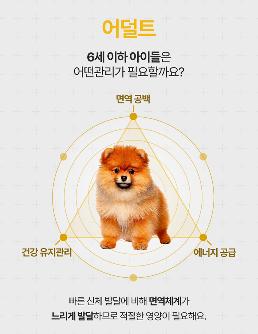 [NEW신상][무료배송] 포바운티 독 아이즈 서포트 어덜트 6세 이하 100g 13번째