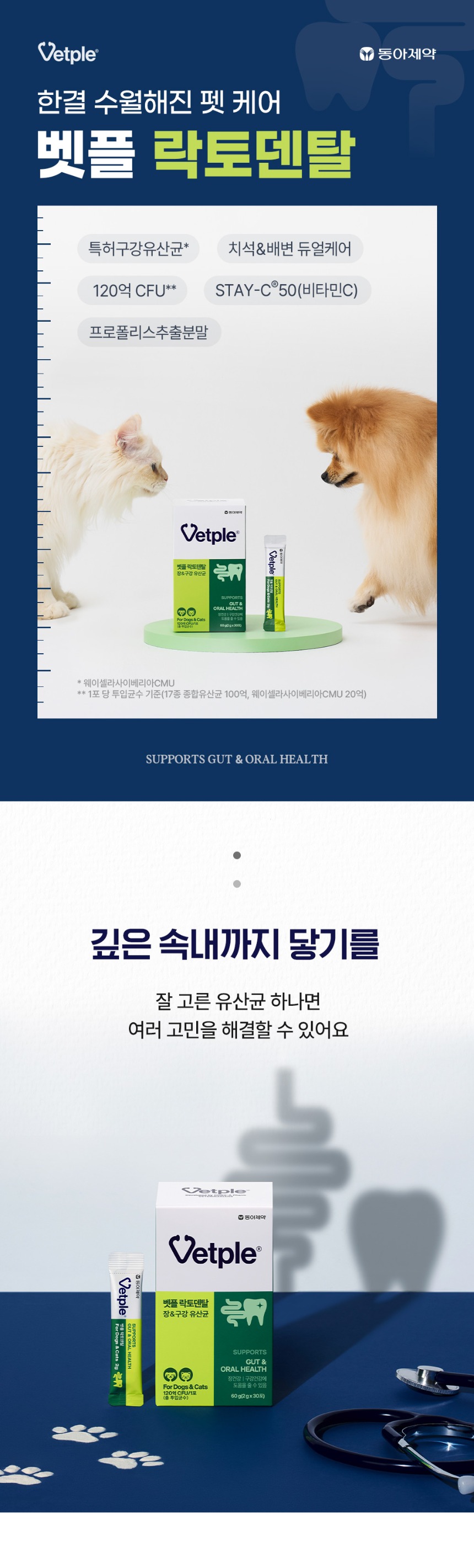 [NEW신상][무료배송] 동아제약 벳플 락토덴탈 장 구강 영양제 30p 1번째