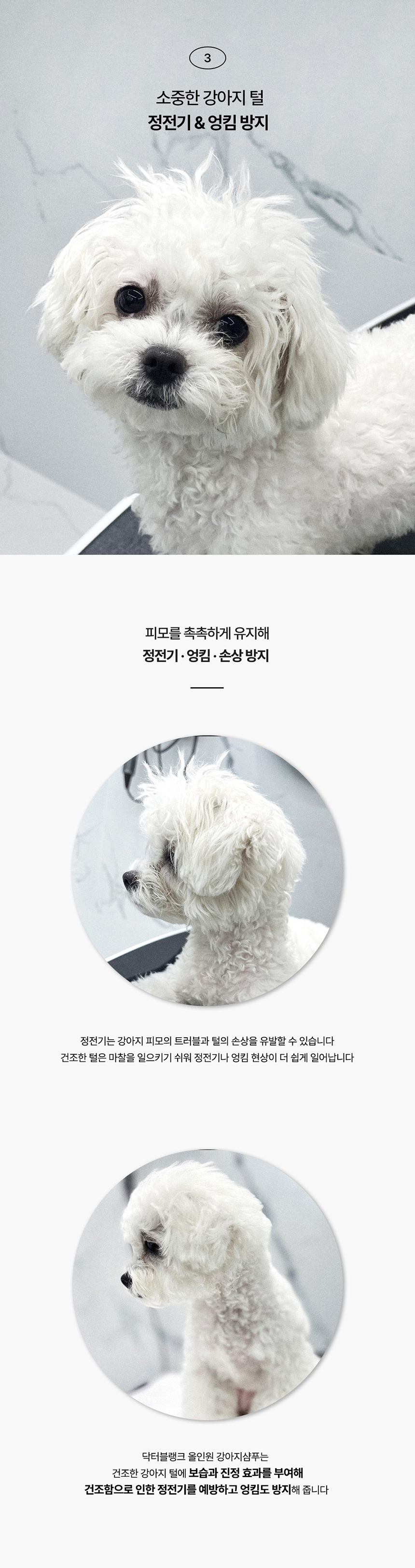 [무료배송] 닥터블랭크 독 저자극 샴푸 블랙베리향 500ml 7번째
