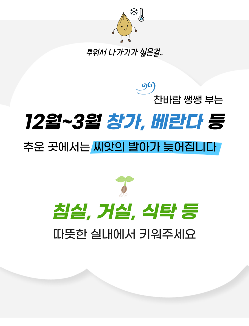 펫팀 캣그라스 고양이풀 보리/귀리/밀 27번째