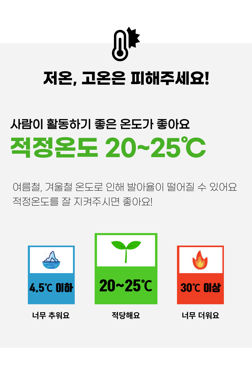 펫팀 캣그라스 고양이풀 보리/귀리/밀 26번째