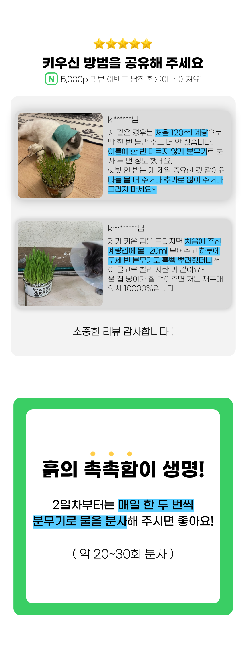 펫팀 캣그라스 고양이풀 보리/귀리/밀 12번째