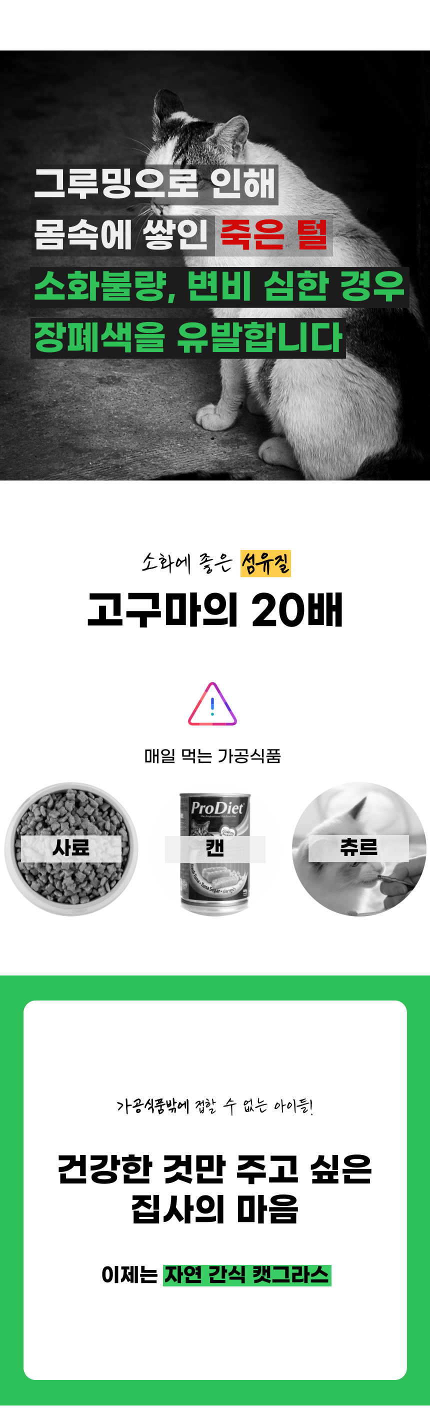 펫팀 캣그라스 고양이풀 보리/귀리/밀 33번째