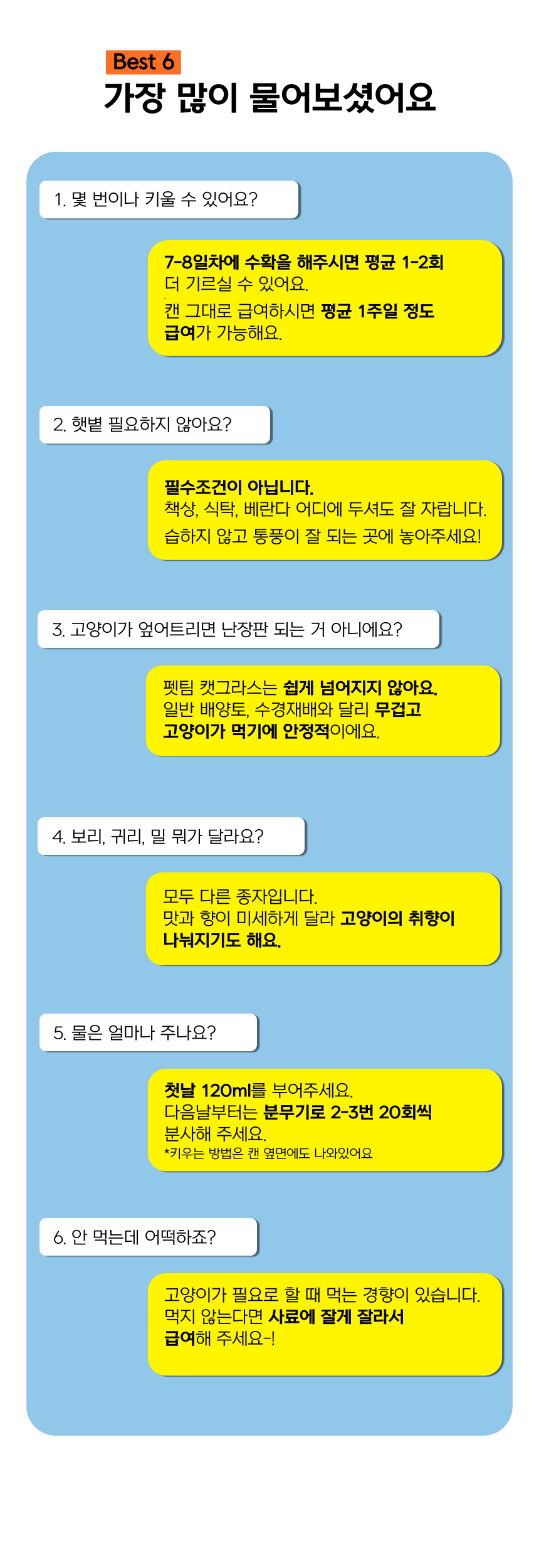 펫팀 캣그라스 고양이풀 보리/귀리/밀 37번째