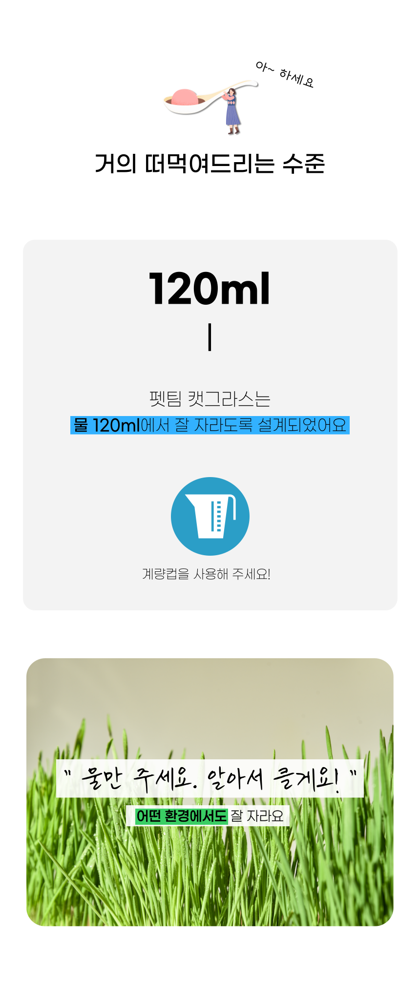 펫팀 캣그라스 고양이풀 보리/귀리/밀 22번째