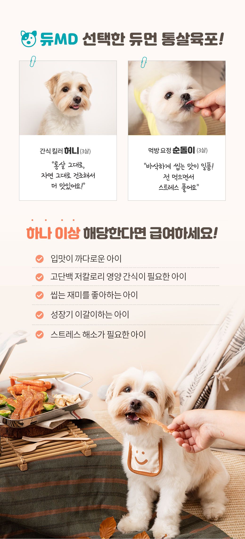 [무료배송][4개] 듀먼 독 통살육포 닭가슴살 50g 2번째
