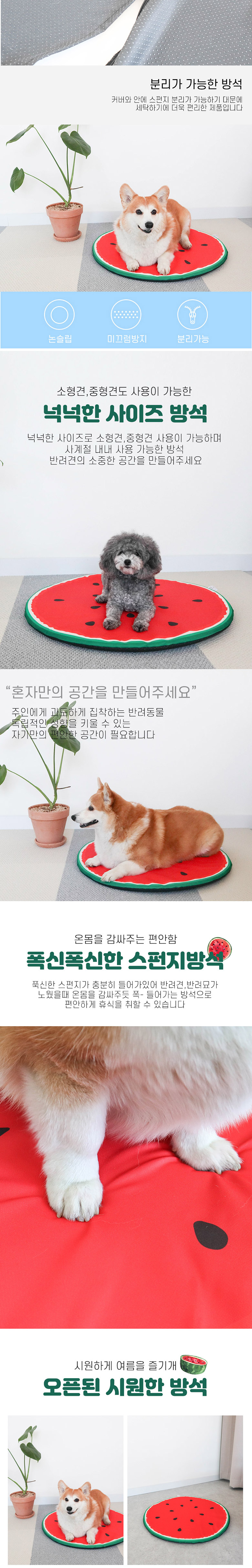 [무료배송] 딩동펫 시원한 수박방석 2번째