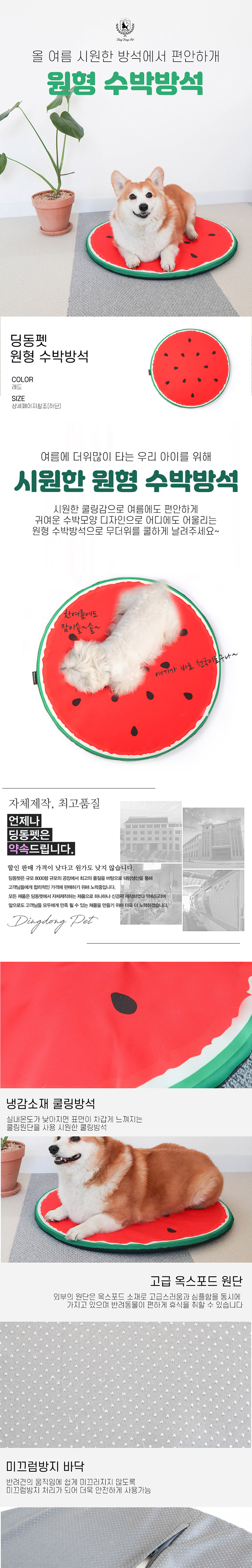 [무료배송] 딩동펫 시원한 수박방석 1번째