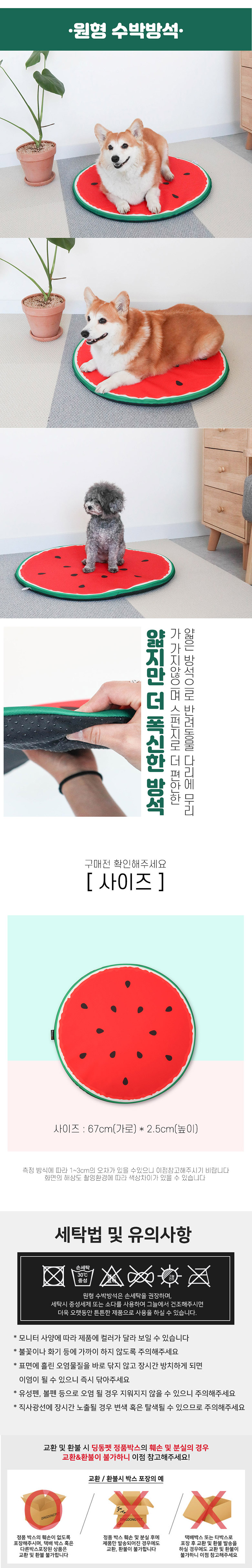 [무료배송] 딩동펫 시원한 수박방석 3번째