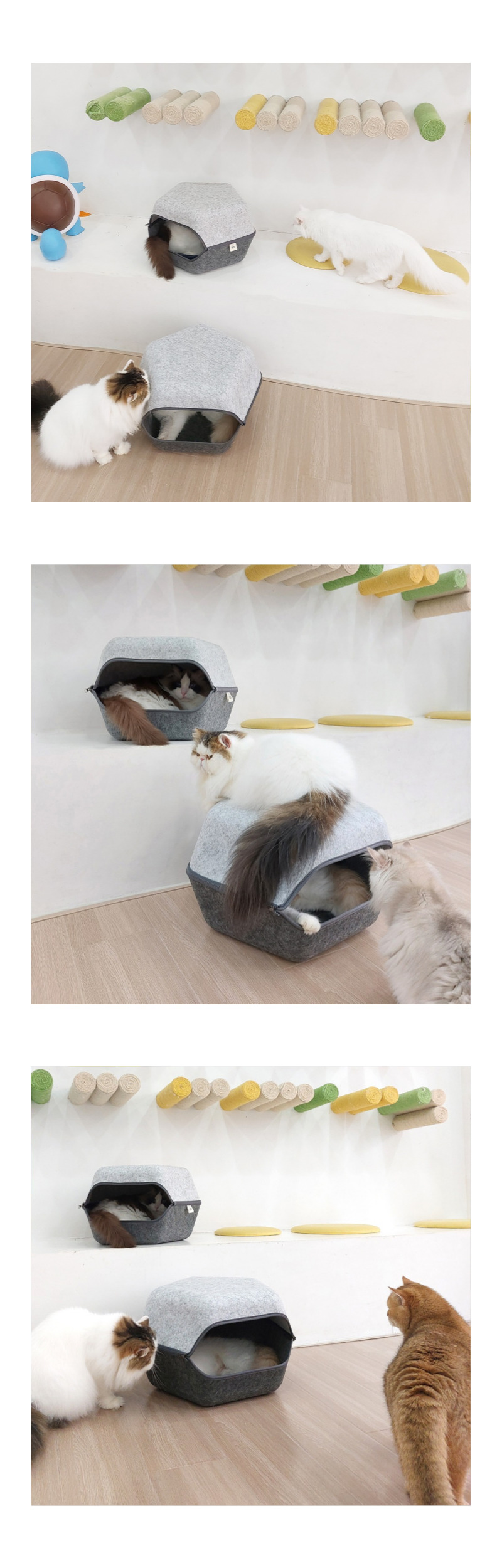 [무료배송] 가또나인 펜타곤 펠트 숨숨집 11번째