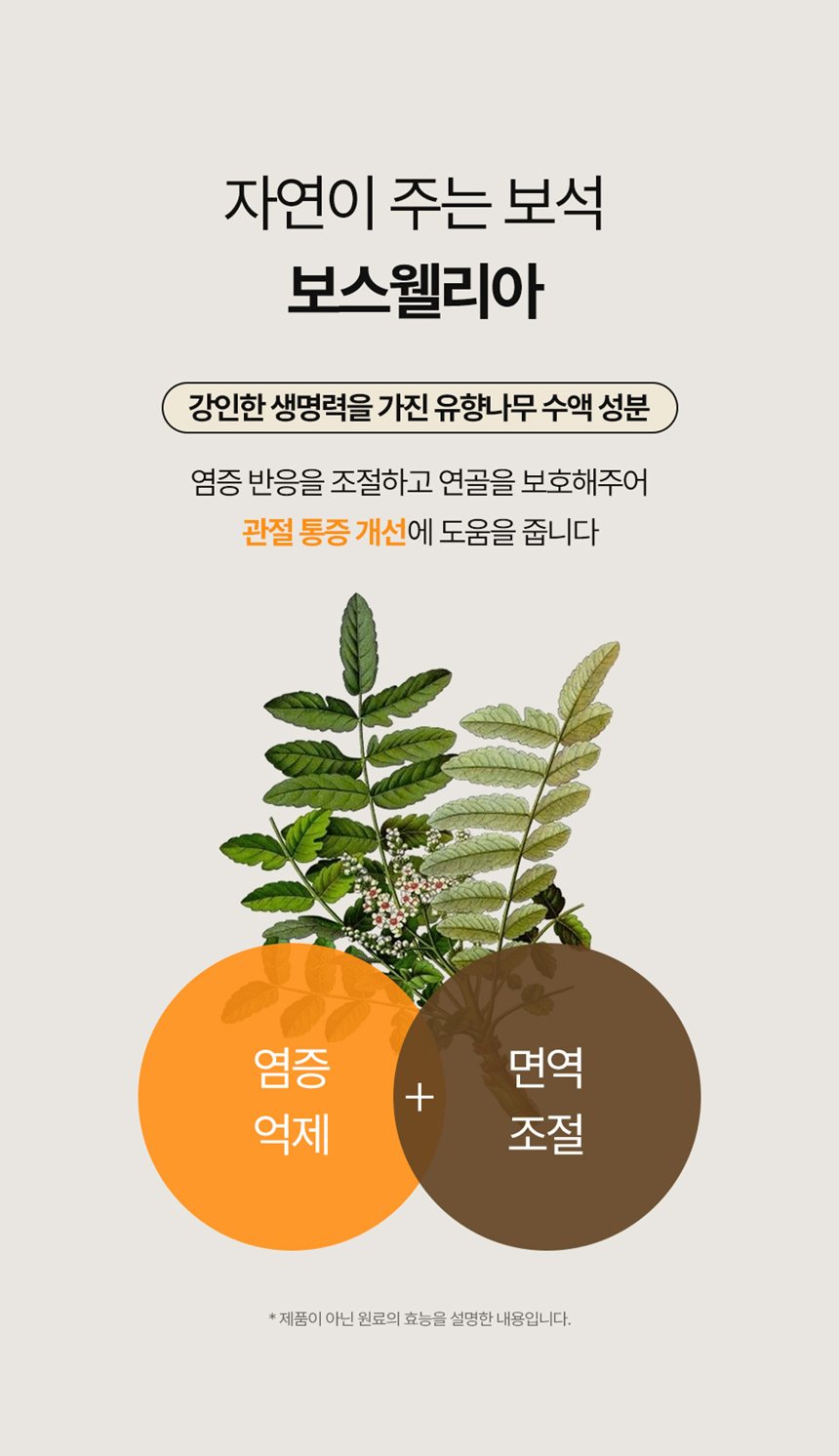 [NEW신상][무료배송] 피오랩 조인트 MSM 콘드로이친 관절 영양제 60캡슐 12번째