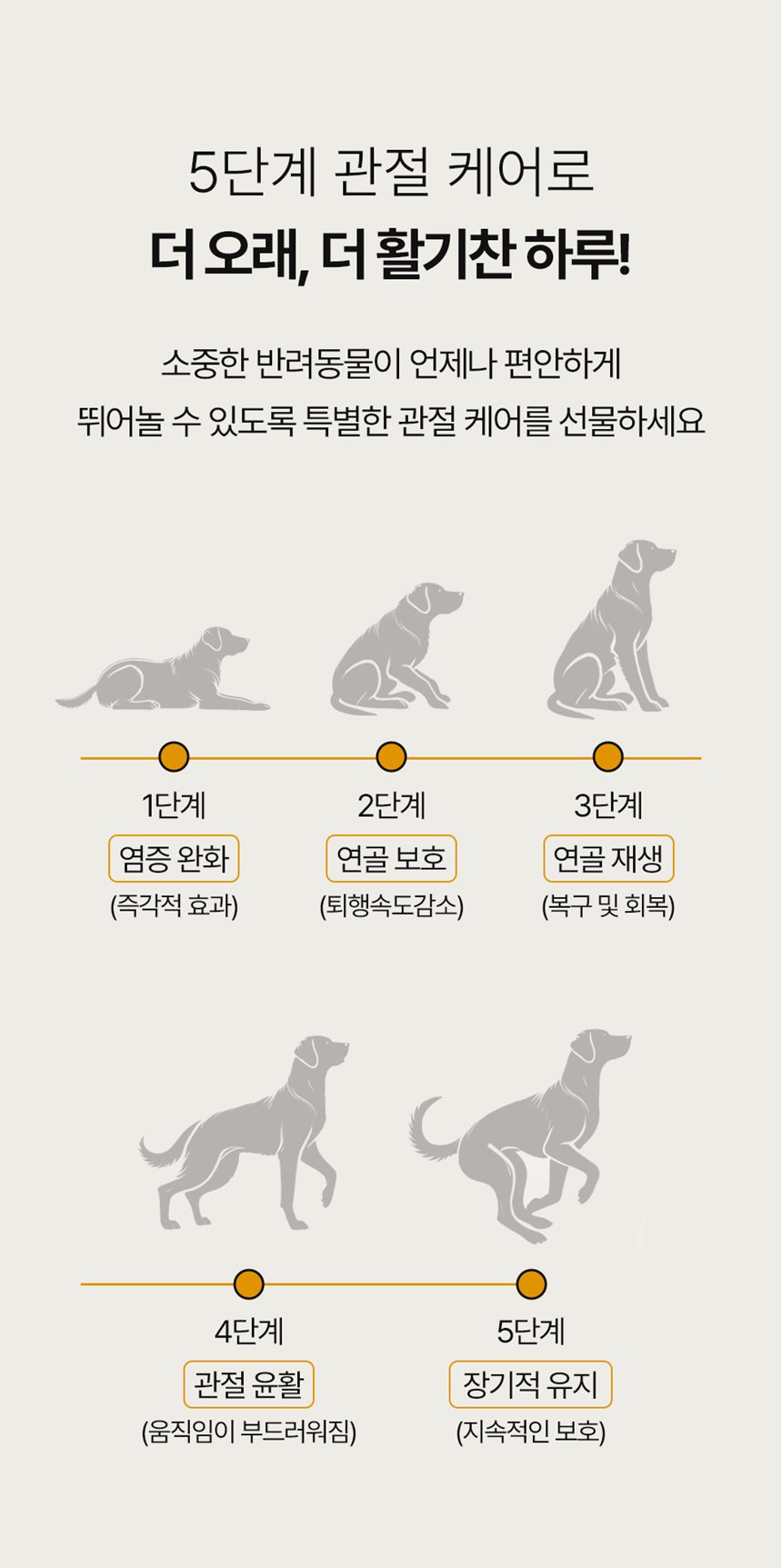 [NEW신상][무료배송] 피오랩 조인트 MSM 콘드로이친 관절 영양제 60캡슐 5번째