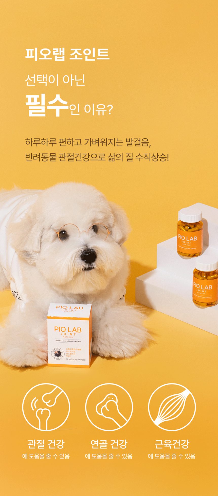 [NEW신상][무료배송] 피오랩 조인트 MSM 콘드로이친 관절 영양제 60캡슐 2번째