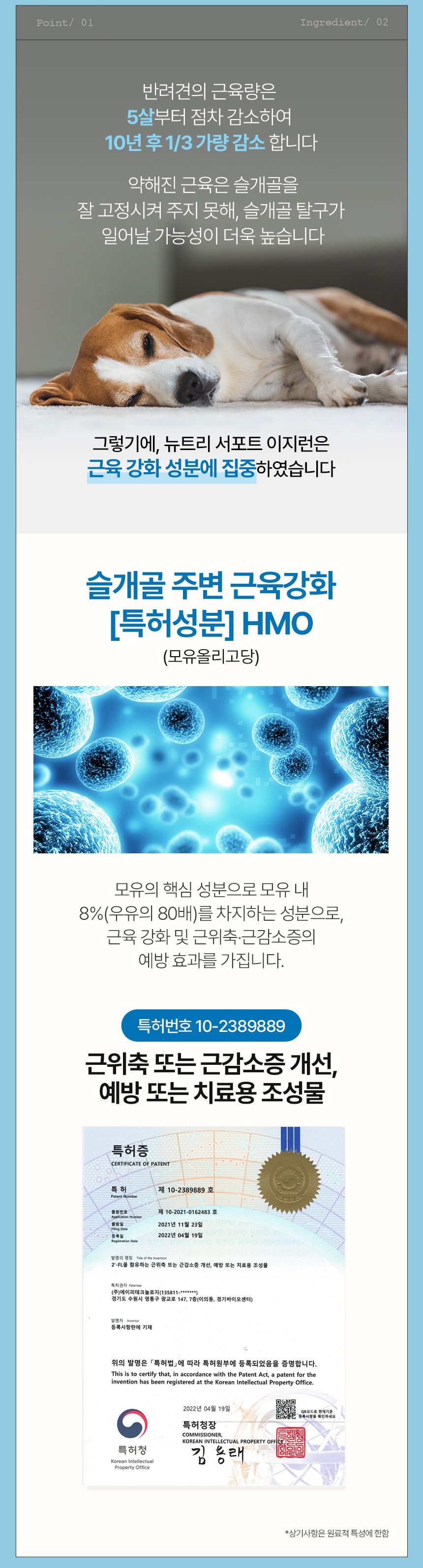 [무료배송] 오마르코 독 뉴트리서포트 이지런 4번째