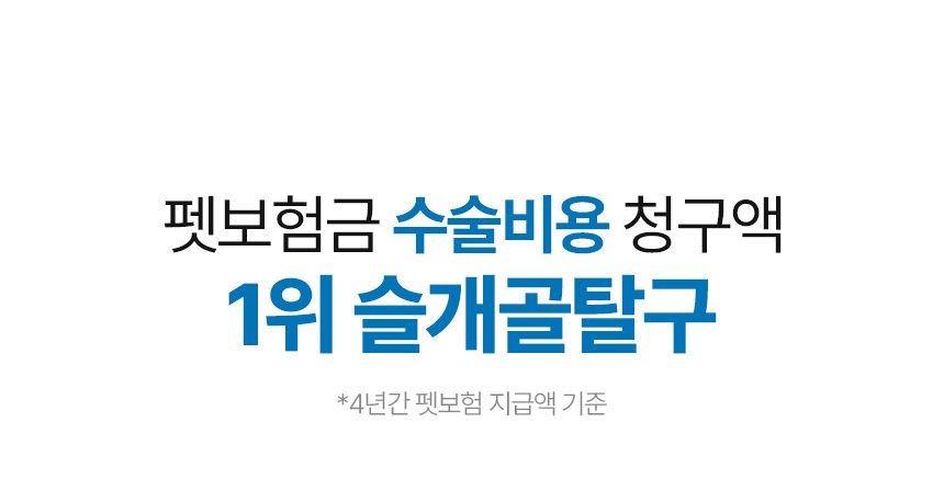 [무료배송] 오마르코 독 뉴트리서포트 이지런 1번째