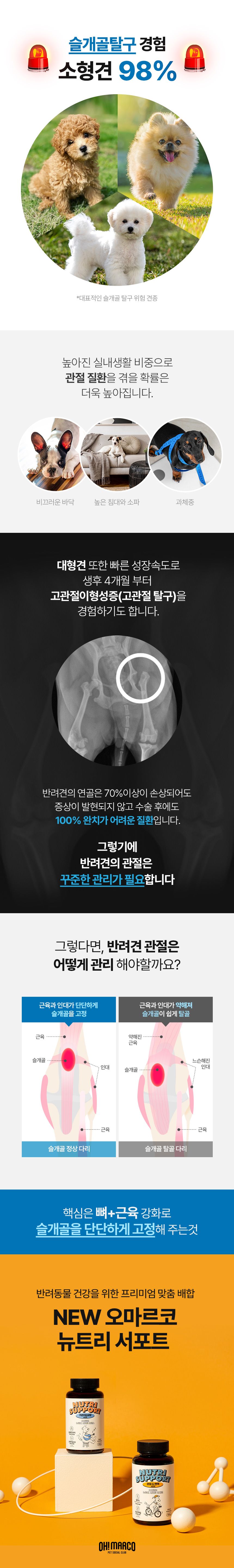 [무료배송] 오마르코 독 뉴트리서포트 이지런 2번째