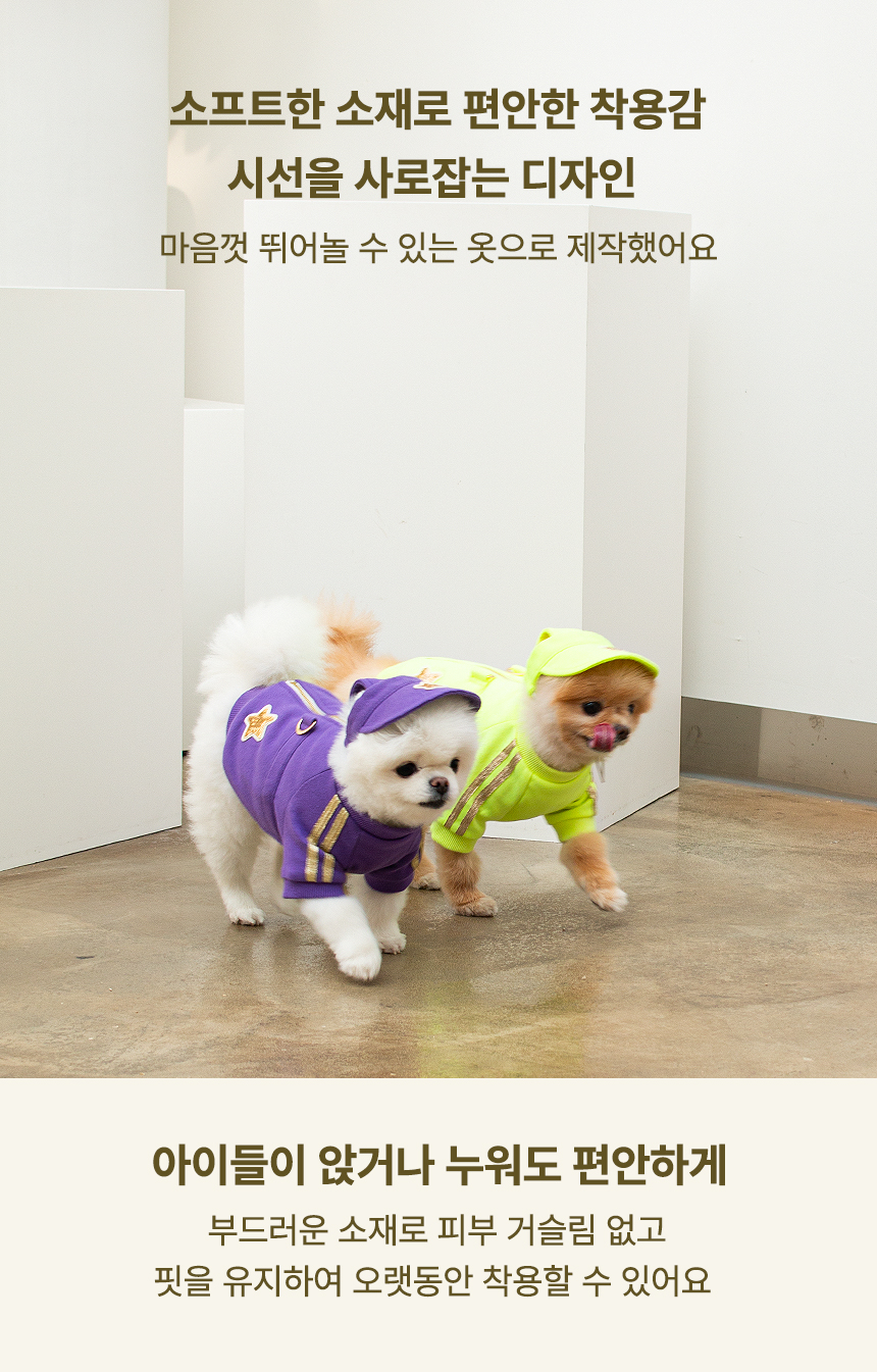 [무료배송] 초코펫하우스 산책왕 트레이닝 세트 그린/퍼플 S-XL 4번째