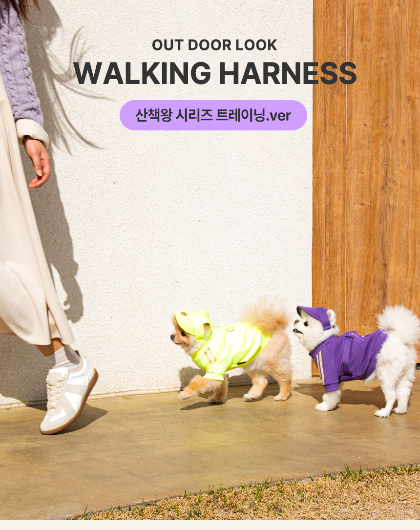 [무료배송] 초코펫하우스 산책왕 트레이닝 세트 그린/퍼플 S-XL 1번째
