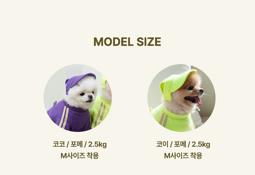 [무료배송] 초코펫하우스 산책왕 트레이닝 세트 그린/퍼플 S-XL 10번째