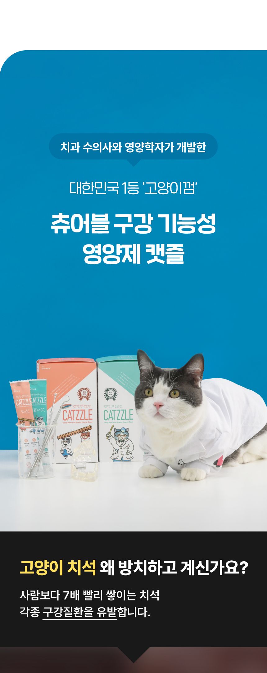 닥터페트라 캣즐 [모음] 6번째