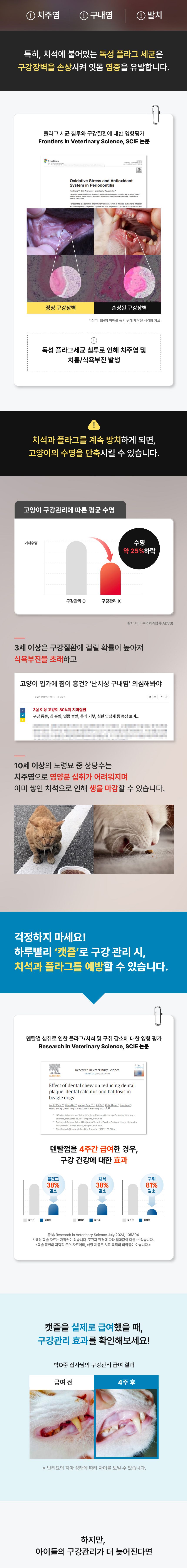 닥터페트라 캣즐 [모음] 8번째