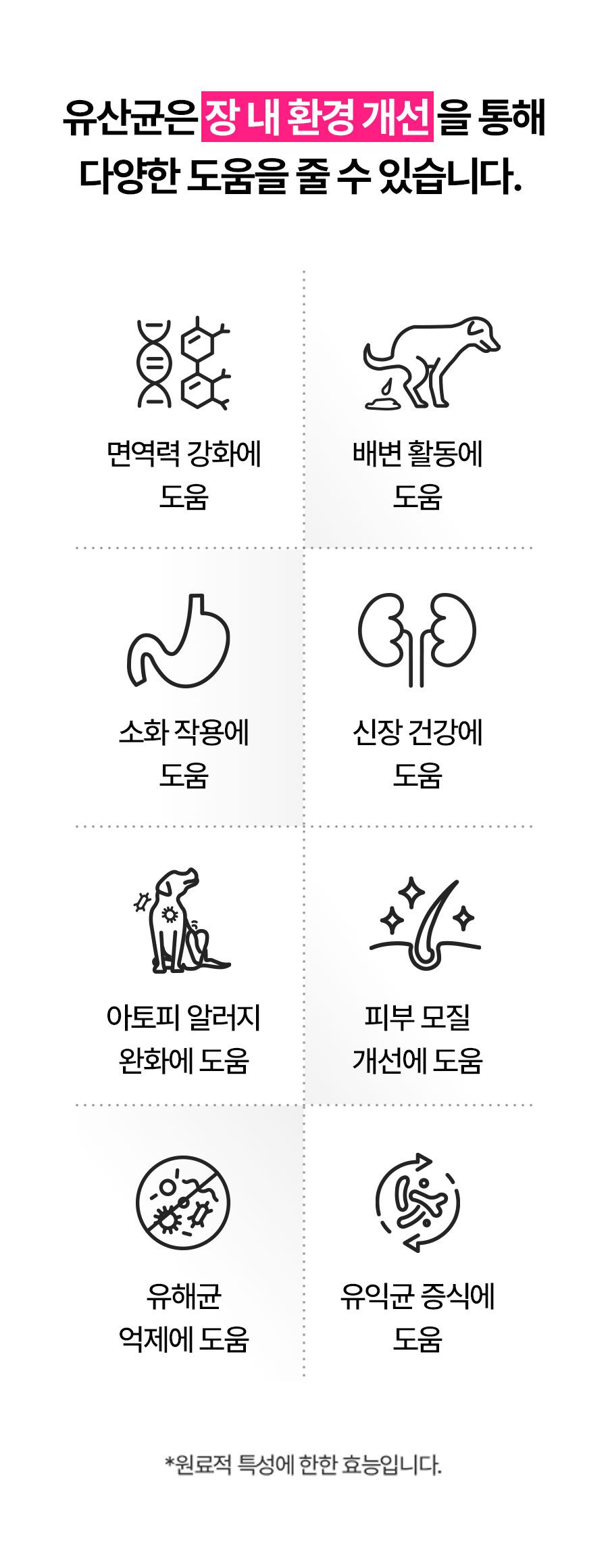 페피테일 독 약사가 만든 참유산균 2g*30p  4번째