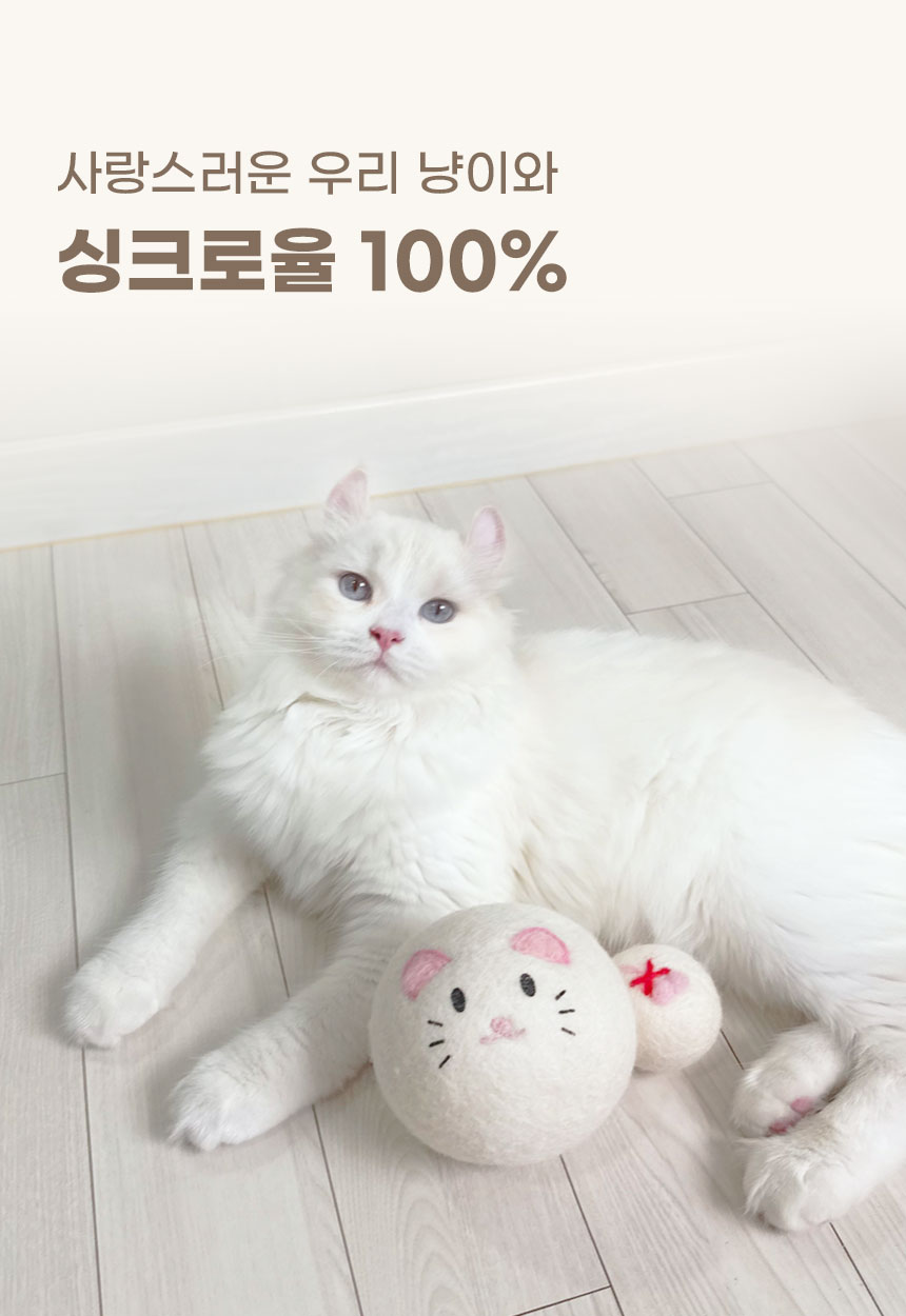 [NEW신상][무료배송] 내꼬냥 캣닢향 가득 10CM 대왕 데굴이 양모 캣닢 캣볼 4종 7번째